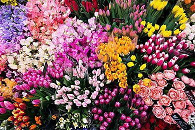 Remedy多人游戏《FBC：Firebreak》受《绝地潜兵2》启发